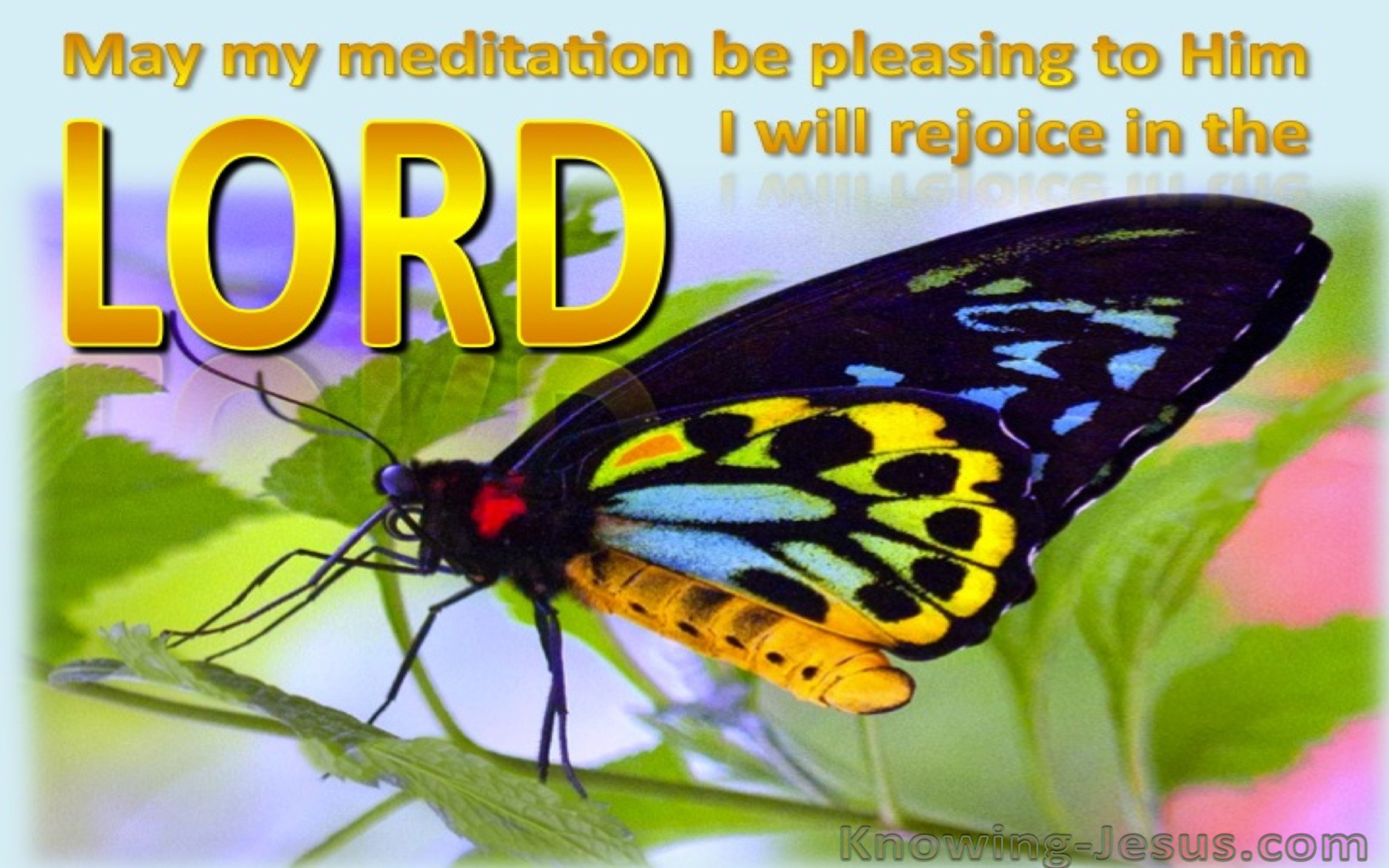 Psalm 104:34 I Will Rejoice In The Lord (gold)